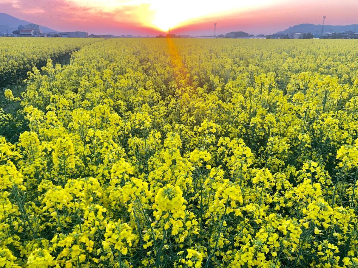 Farmstay Miyuki-Street "Goen" Ukiha 외부 사진