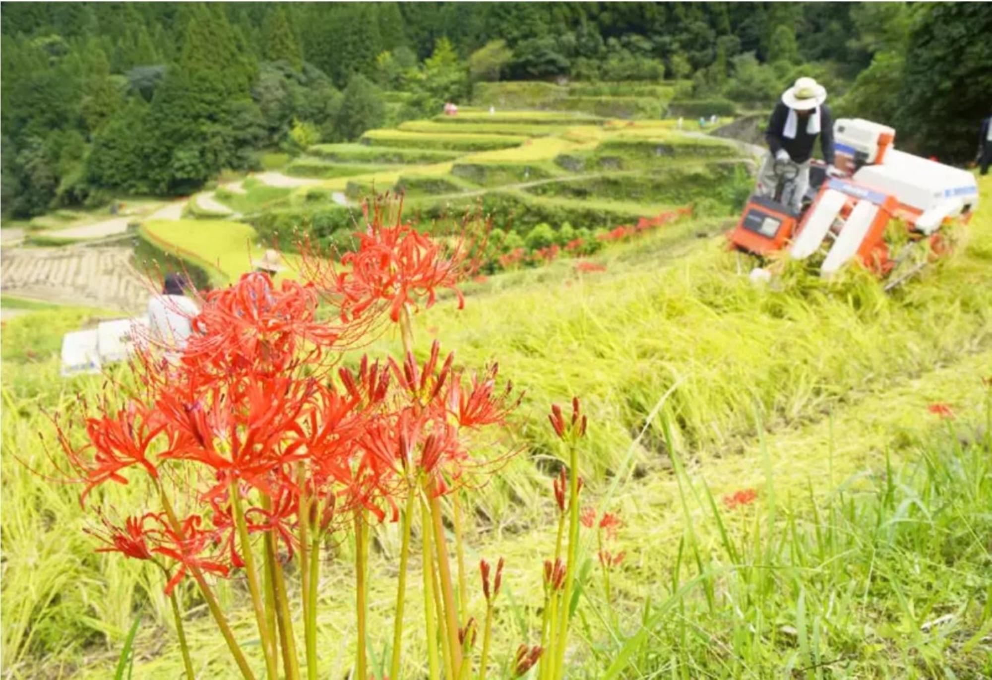 Farmstay Miyuki-Street "Goen" Ukiha 외부 사진